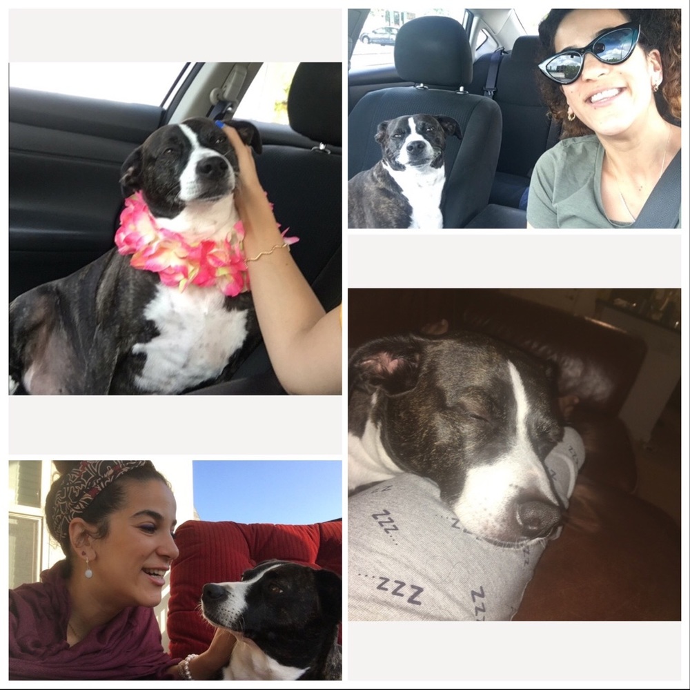 Meet your Posher, Luli&Sharon - Picture 7 of 8